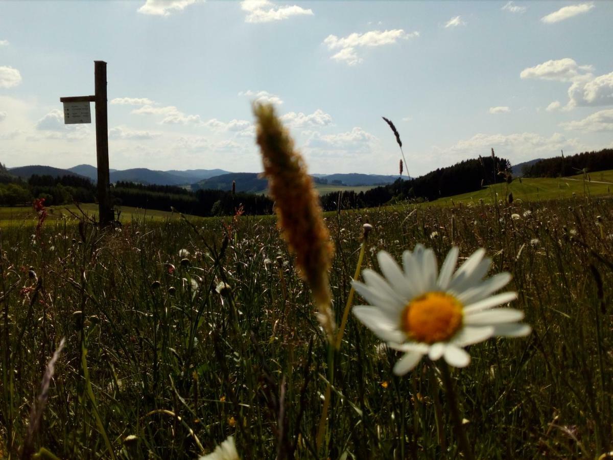Apartmán Mia Und Michel Im Sauerland Bad Berleburg Exteriér fotografie