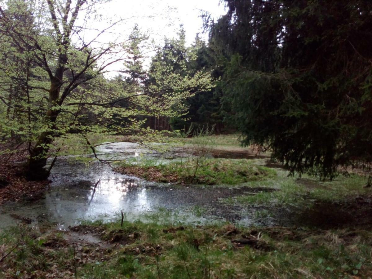Apartmán Mia Und Michel Im Sauerland Bad Berleburg Exteriér fotografie
