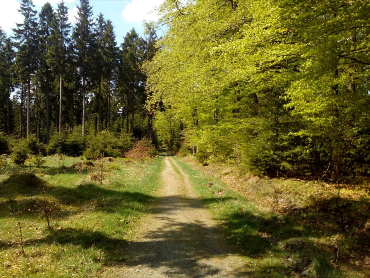 Apartmán Mia Und Michel Im Sauerland Bad Berleburg Exteriér fotografie