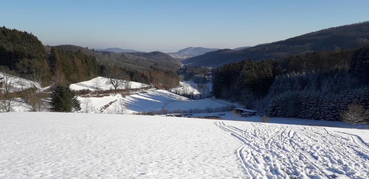 Apartmán Mia Und Michel Im Sauerland Bad Berleburg Exteriér fotografie